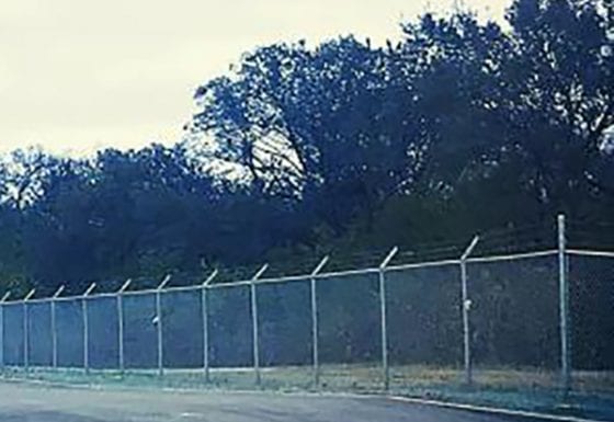 Chainlink Fence Gladiator / Wags